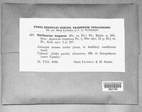 Image Associated With the Occurence
